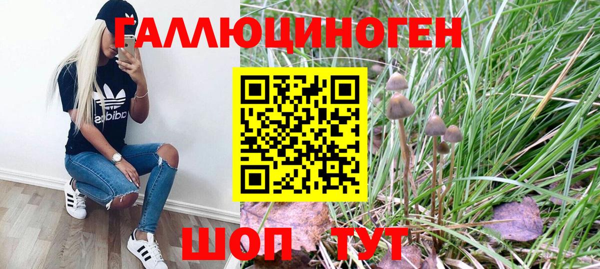 Псилоцибиновые грибы MAGIC MUSHROOMS Зеленогорск